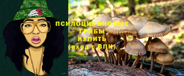 мдма Богданович