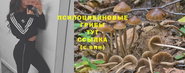 мдма Богданович