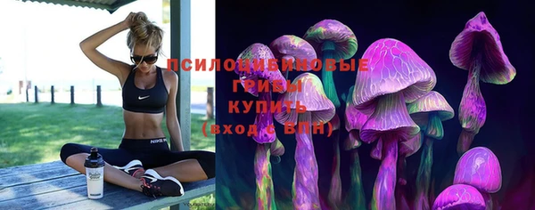 скорость Богородск